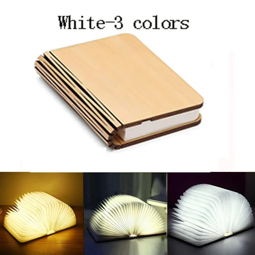 Compact LED Reading Lamp