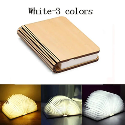 Compact LED Reading Lamp