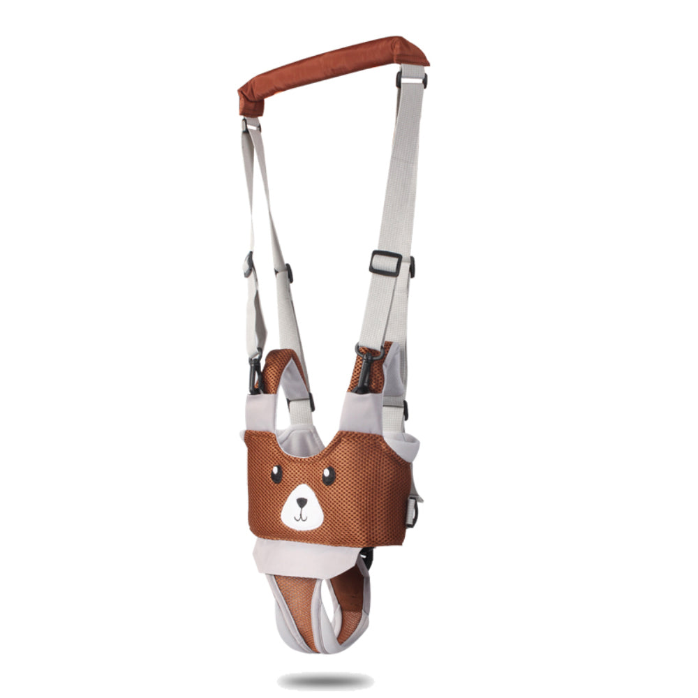 Fesara Walking Companion Pro