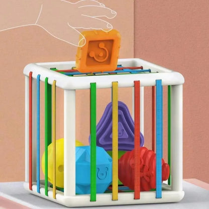 Educational Wooden Shape Sorter Toy