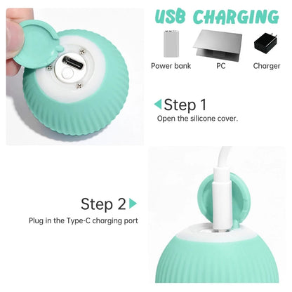 Fun Interactive Automatic Pet Toy Ball