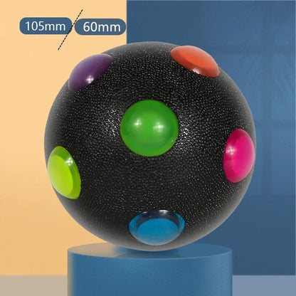 Fun Pet Glow Ball Toy with LED Light