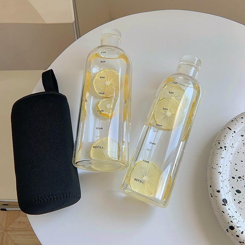 Insulated Borosilicate Glass Water Bottle