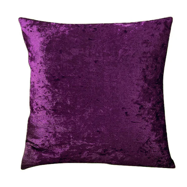 Plush Velvet Accent Pillow for Home and Living Room
