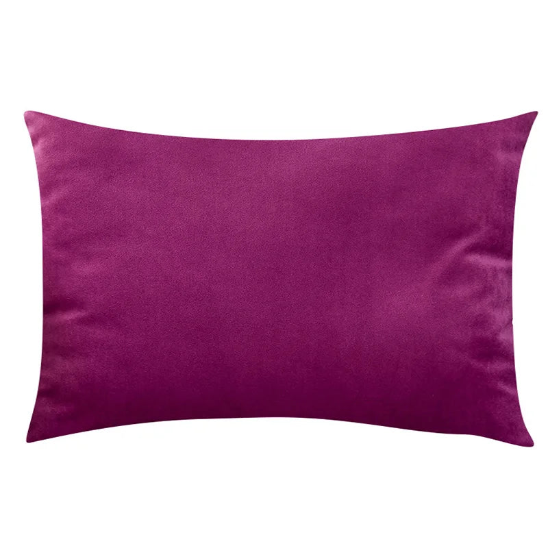Soft Velvet Pillow in Bright Pastel Shades