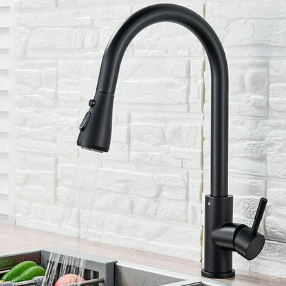 Modern Extendable Kitchen Sink Faucet