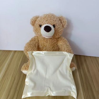 Cute Animated Teddy Bear Toy