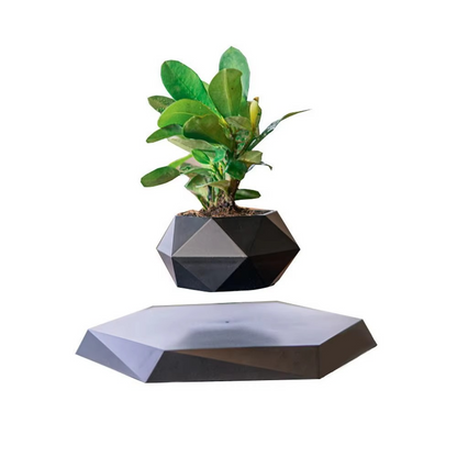 Unique Floating Bonsai Pot for Home Decor