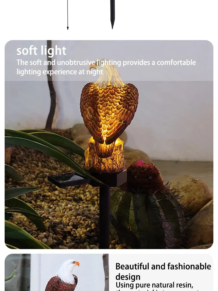 Outdoor Solar Powered Garden Light
