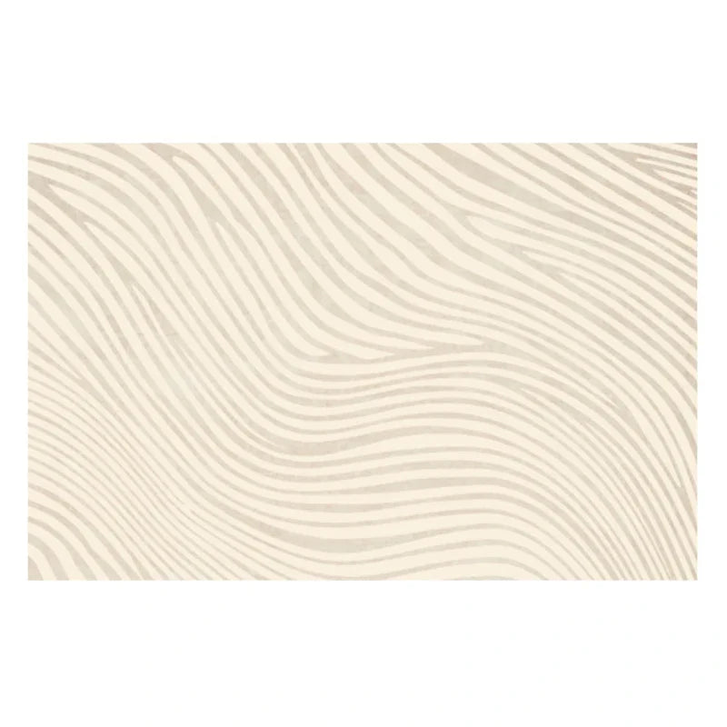Plush Anti-Slip Shaggy Area Rug for Living Room and Bedroom