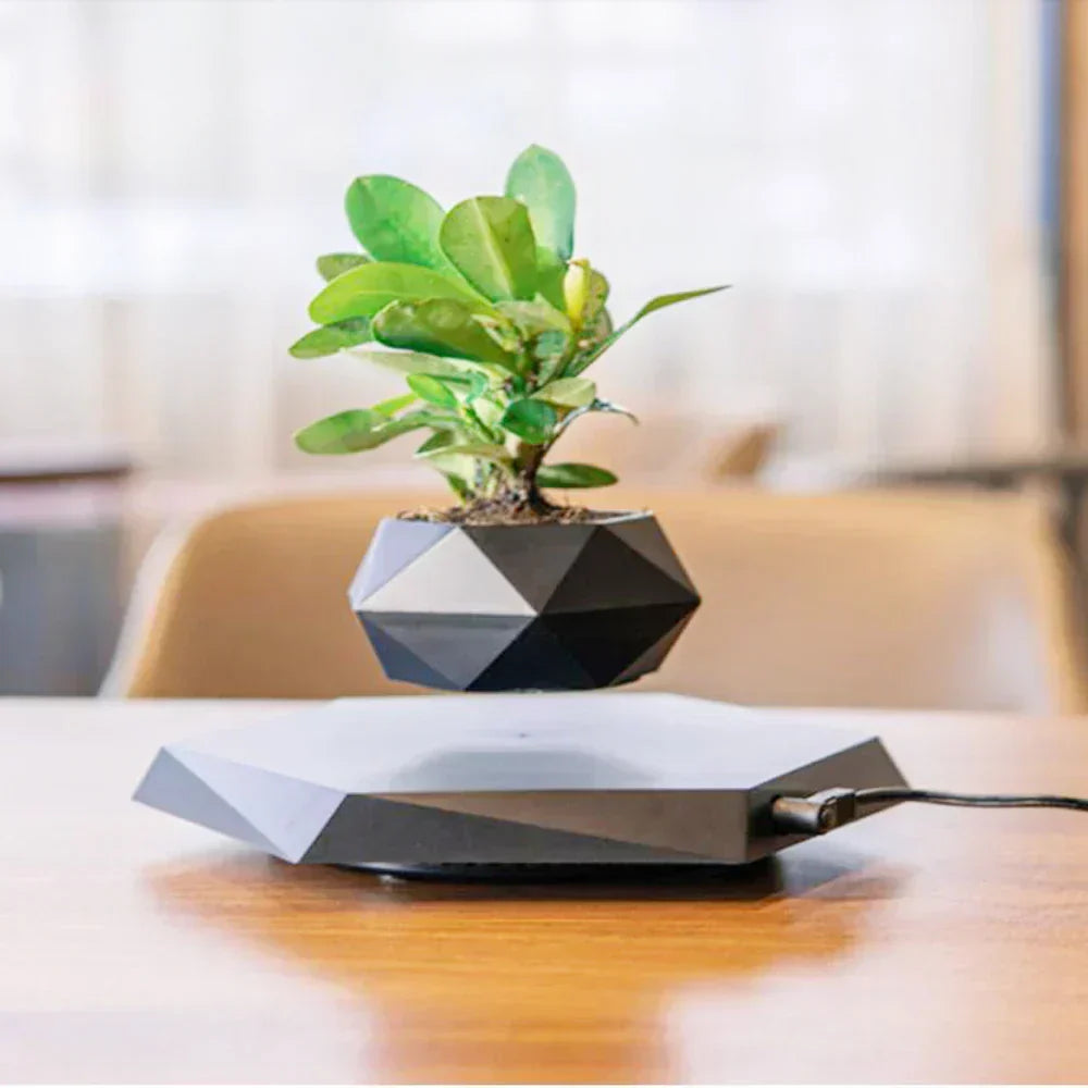 Floating Mini Bonsai Tree Planter - Fesara