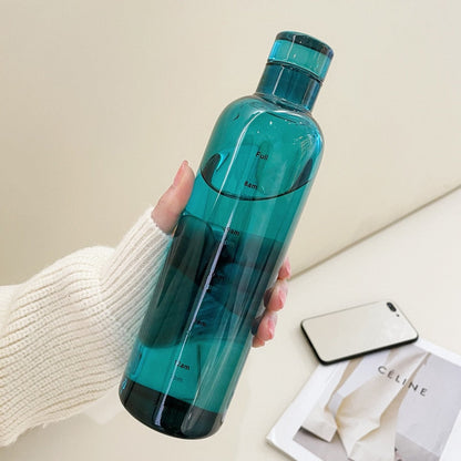 Insulated Borosilicate Glass Water Bottle