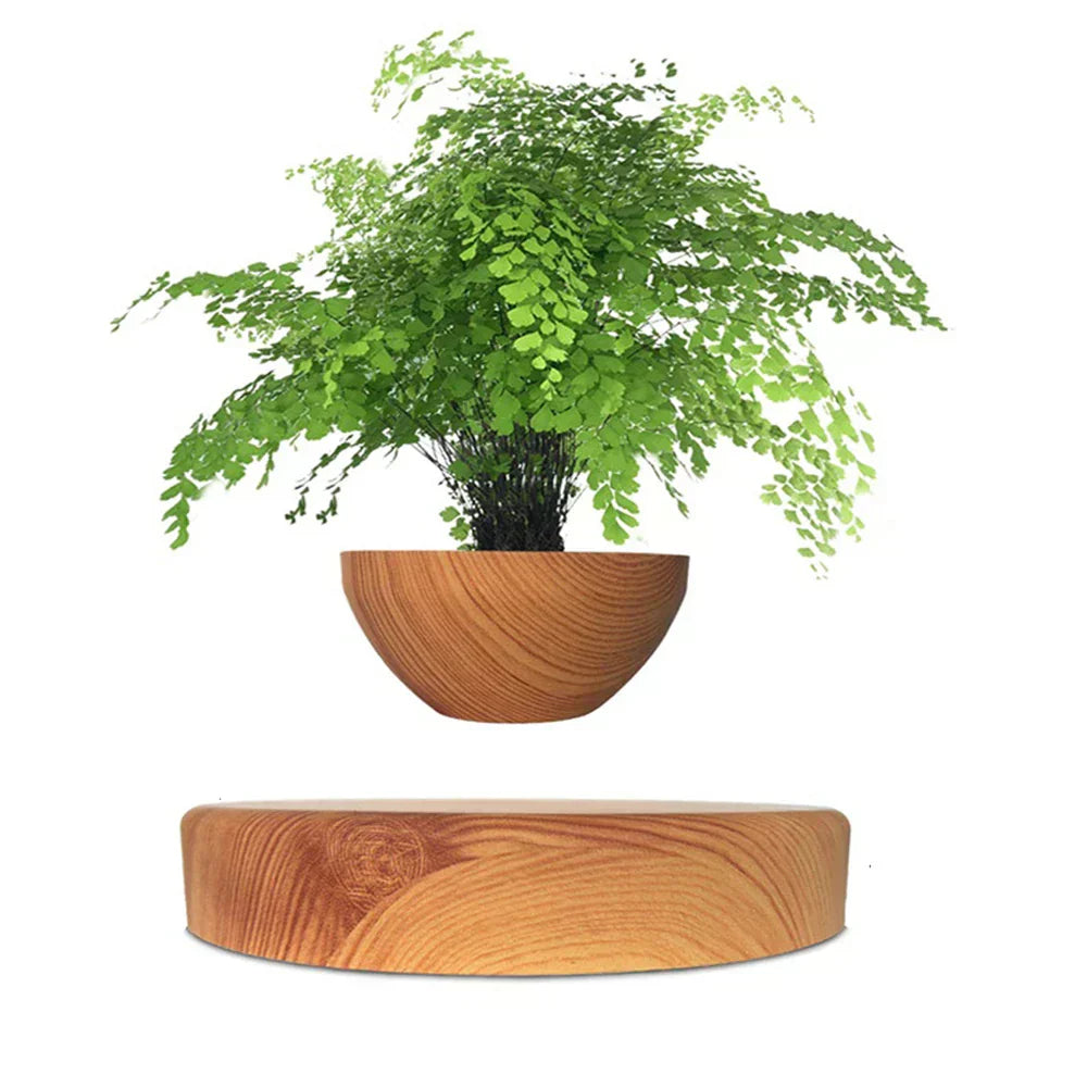 Floating Mini Bonsai Tree Planter