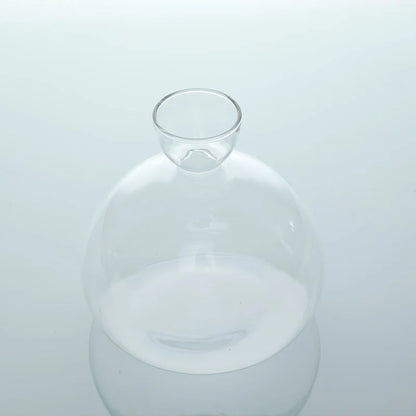 Clear Glass Avocado Planter Vase