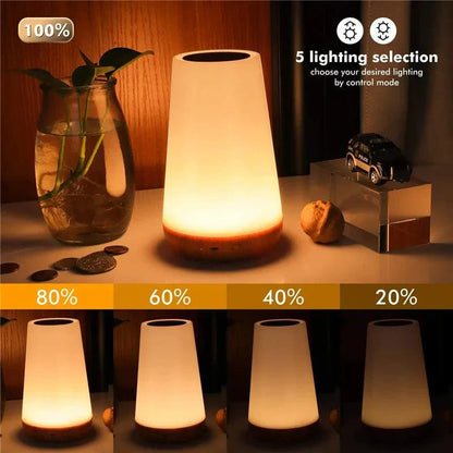 Color Changing LED Night Light Lamp