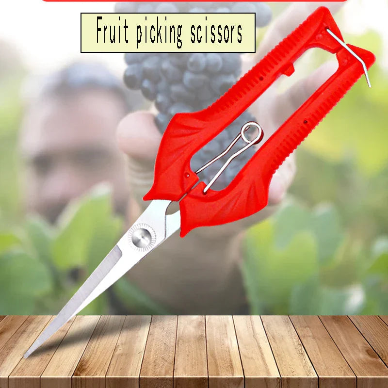 Sharp Garden Pruning Shears for Trees and Bonsai