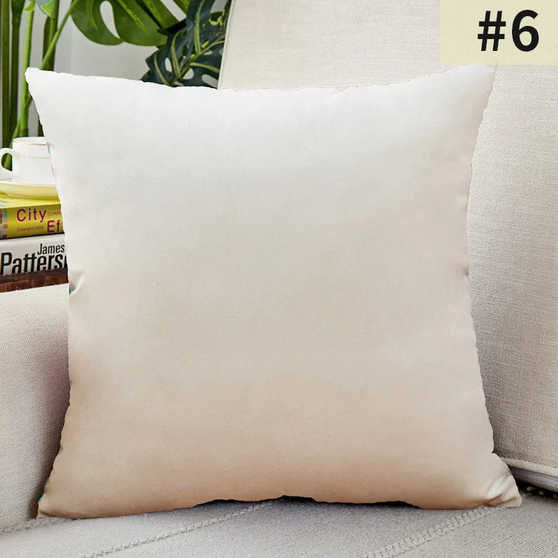 Plush Velvet Pillow Cover for Sophisticated Home Decor