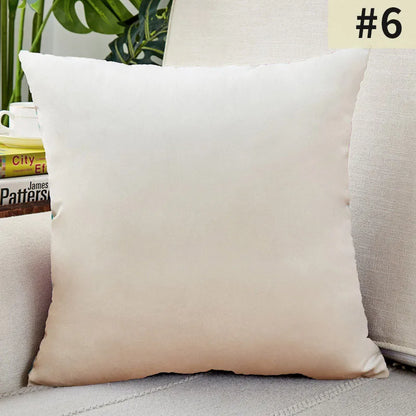 Plush Velvet Pillow Cover for Sophisticated Home Decor