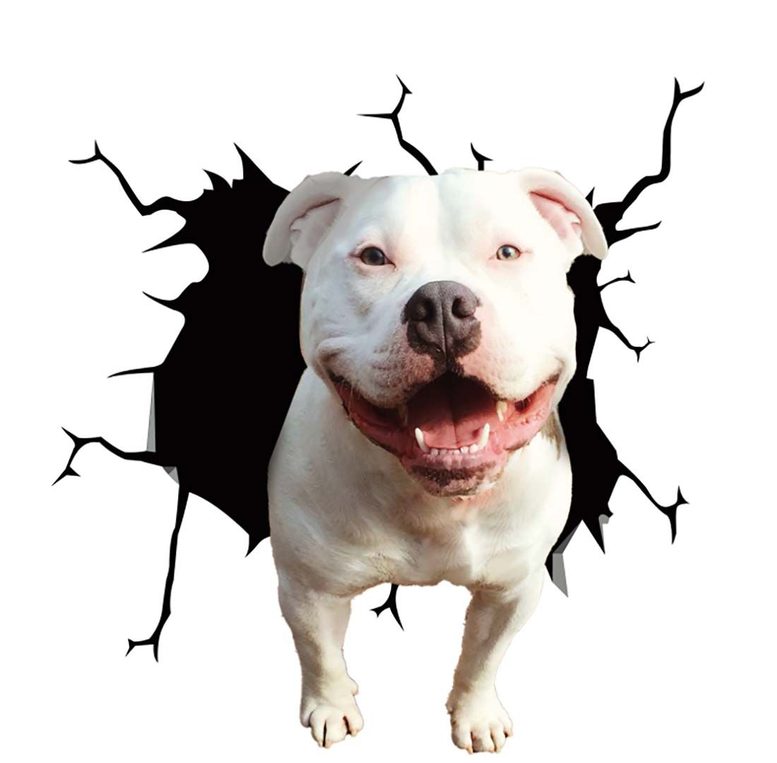 Fun 3D Dog Car Scratch Remover Sticker - Fesara