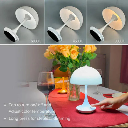 Colorful Dimmable Portable LED Desk Lamp