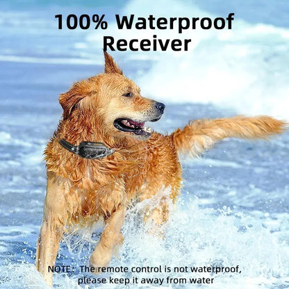 Waterproof Rechargeable Dog Training Collar with Remote