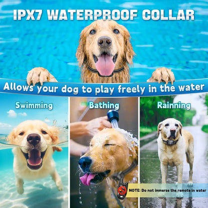 Waterproof Rechargeable Dog Training Collar with Remote