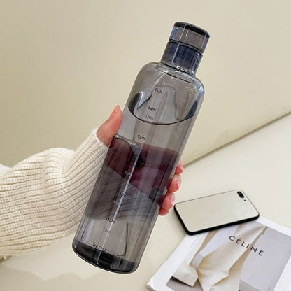 Insulated Borosilicate Glass Water Bottle