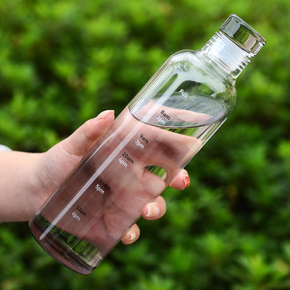 Insulated Borosilicate Glass Water Bottle