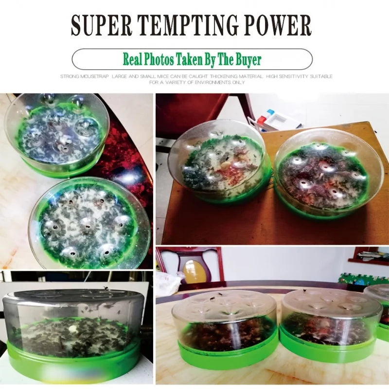 Effective Reusable Fly Catcher Trap with 7 Entrances