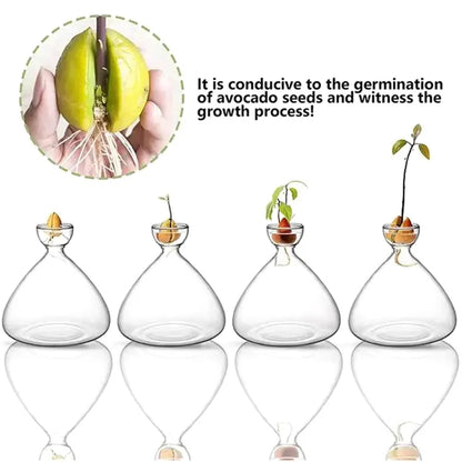 Clear Glass Avocado Planter Vase