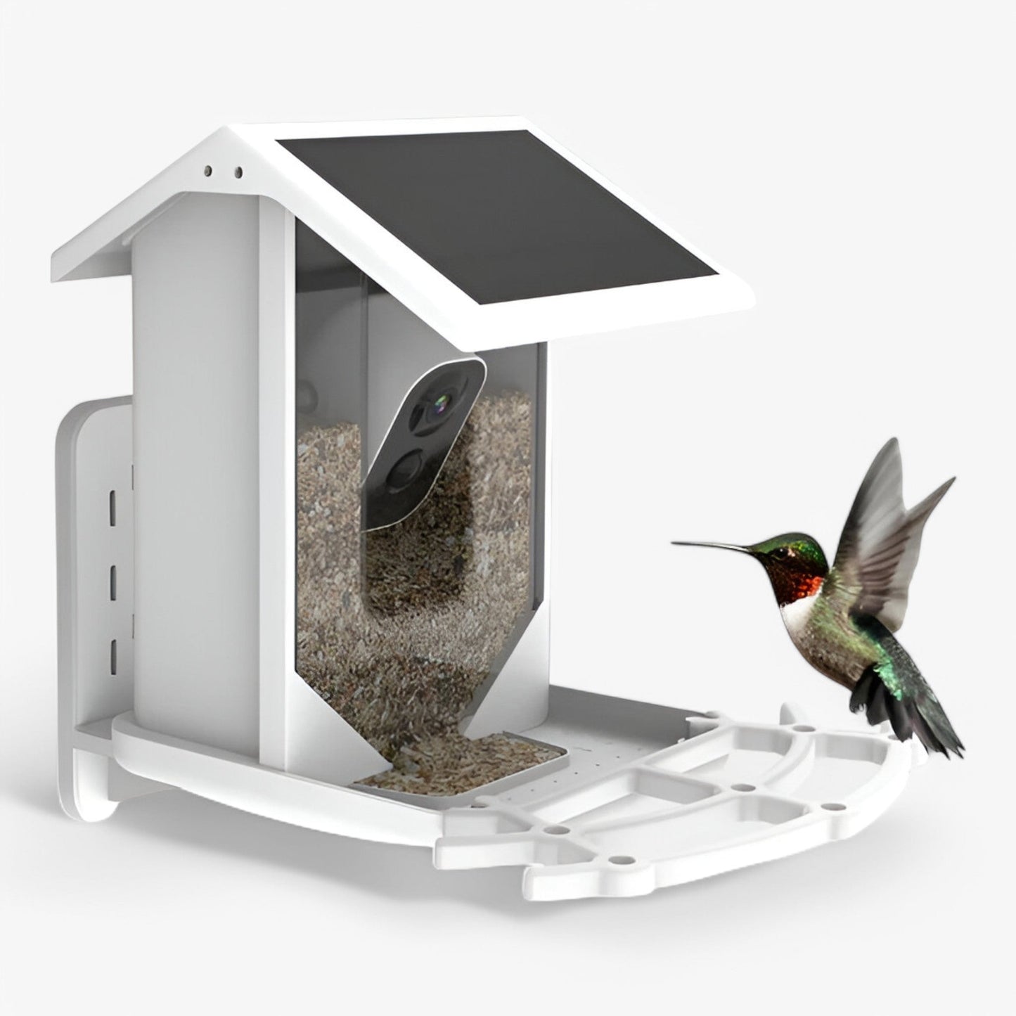 Wireless Bird Feeder with HD Camera and Solar Power