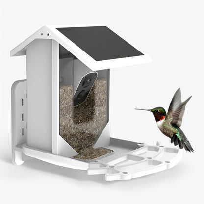 Wireless Bird Feeder with HD Camera and Solar Power