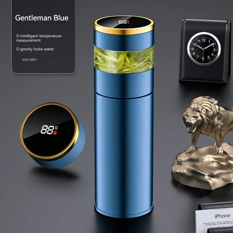 Insulated Thermal Bottle with LED Temp Display