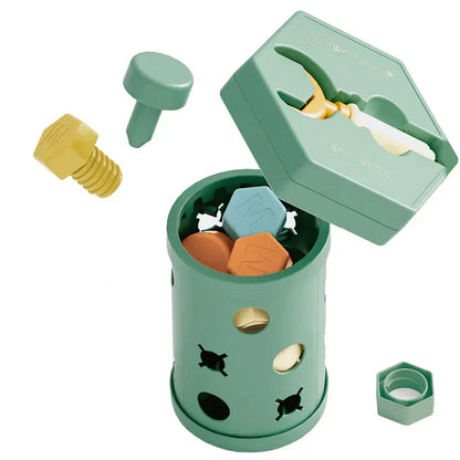 Wooden Educational Screw Toy Set
