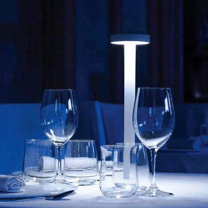 Premium Wireless Outdoor LED Garden Lamp