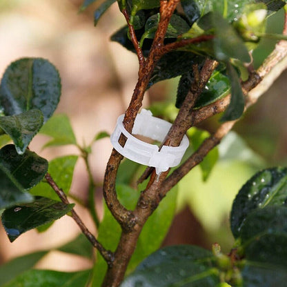 Easy Gardening Plant Stem Clips