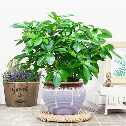 Realistic Fake Plant in Pot 33cm for Home Decor