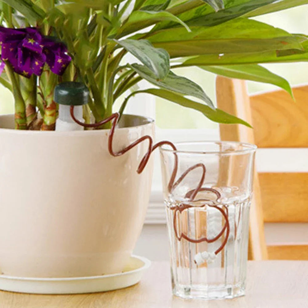 Easy Watering Indoor Plant System 8 Piece Set