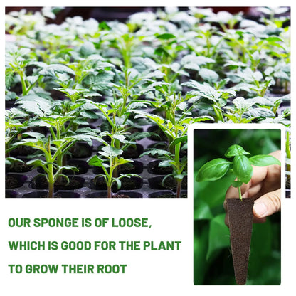 Seed Starting Sponges 50 Pack for Hydroponic Plants