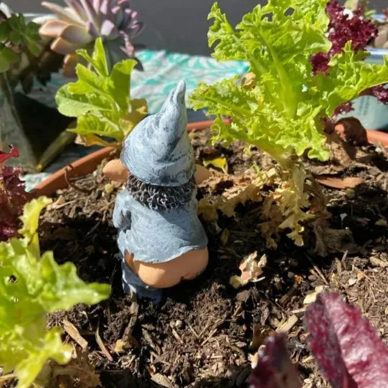 Comical Garden Gnome Statue Resin Decor