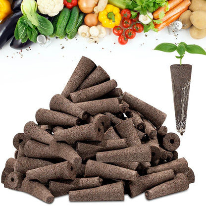 Seed Starting Sponges 50 Pack for Hydroponic Plants - Fesara