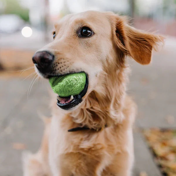 Fun Interactive Dog Ball Toy - Fesara