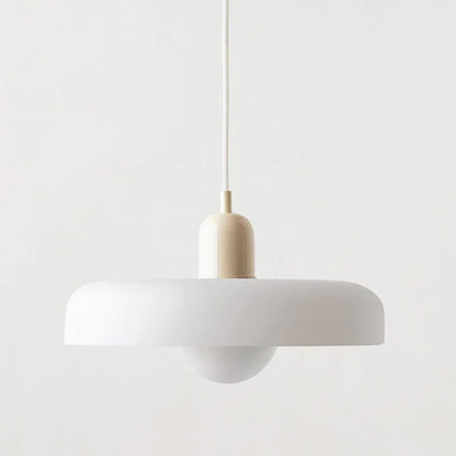 Elegant Hanging Light Fixture