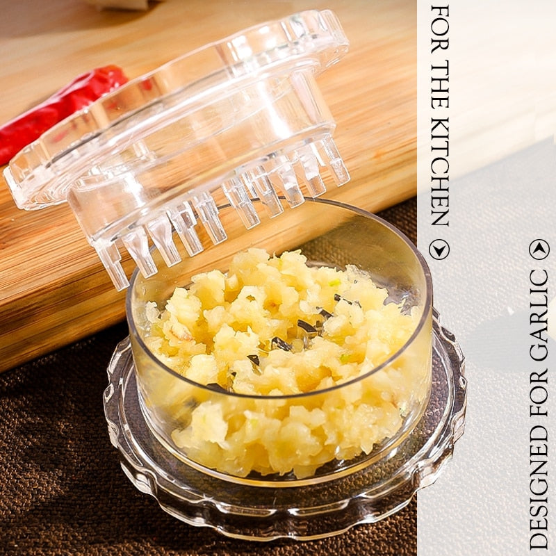Compact Hand Garlic Press Crusher
