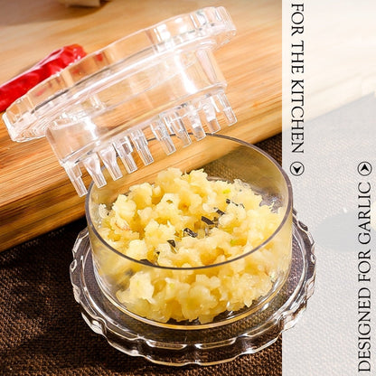 Compact Hand Garlic Press Crusher