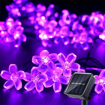 Outdoor Solar Fairy String Lights Warm White 20-100 LEDs