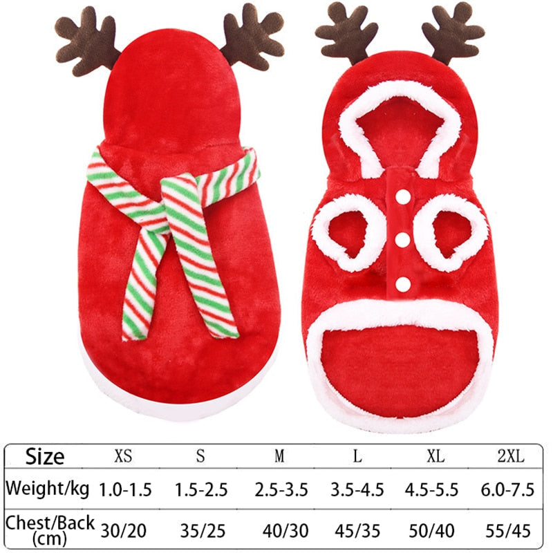 Fun Christmas Pet Outfits