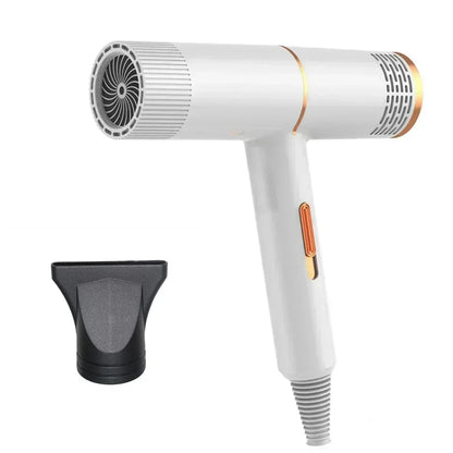 Advanced Ionic Fast Hair Dryer with Dual Speed