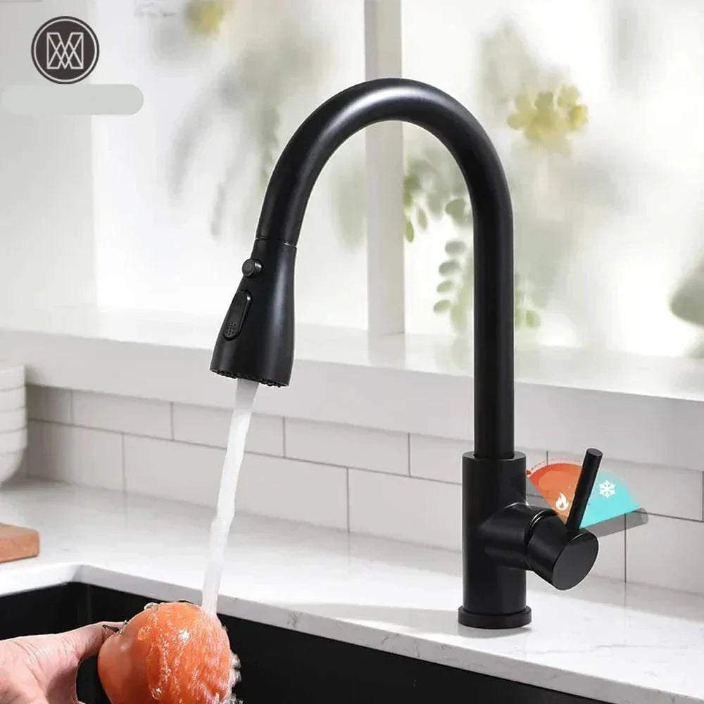 Modern Black Kitchen Faucet - Fesara