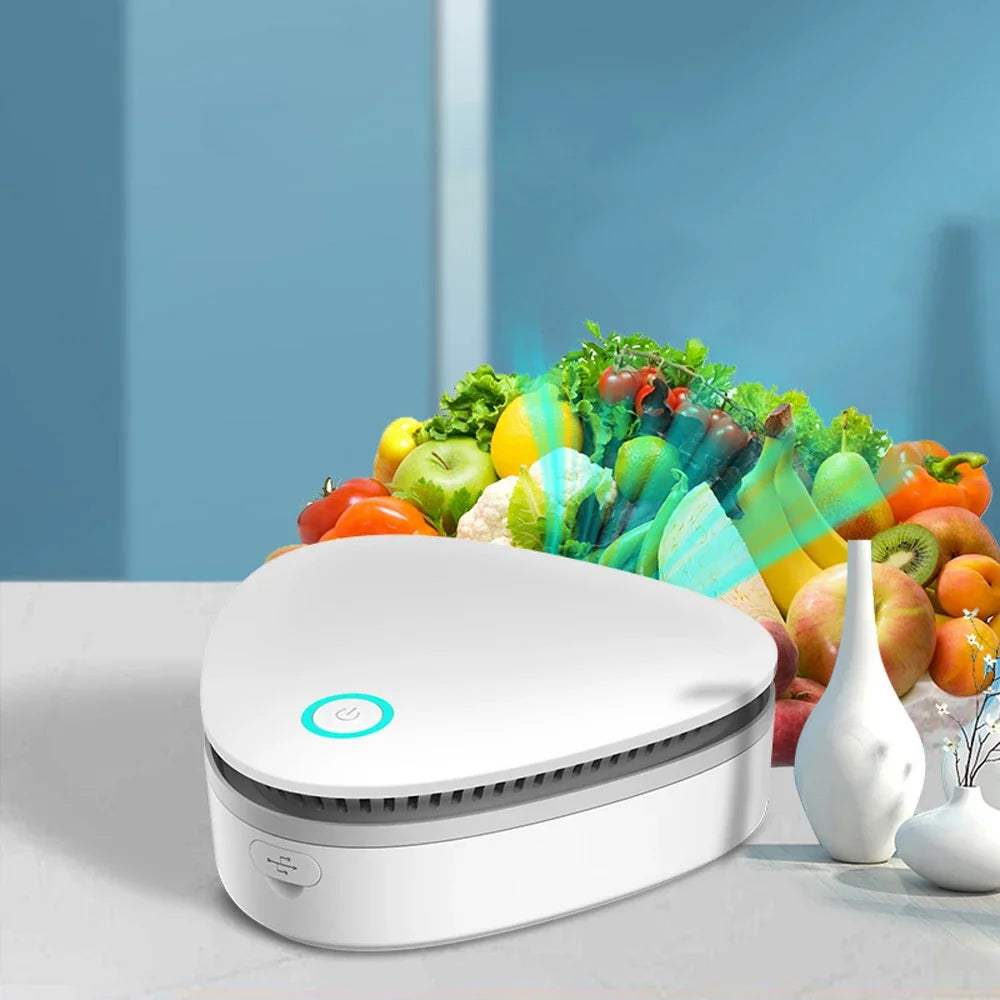 Compact Ozone Air Purifier & Sanitizer